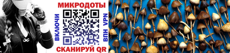 Купить  Юрга  Псилоцибиновые грибы прущие грибы 